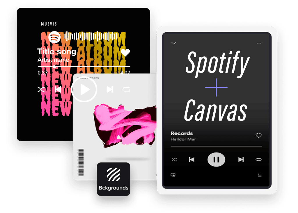 Canvas Spotify